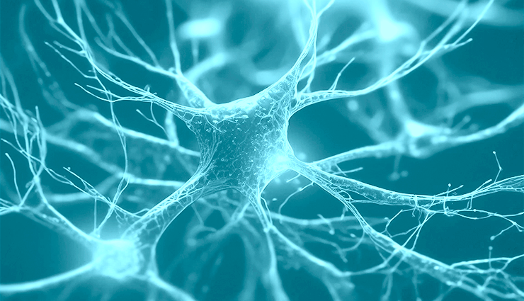 Estudios genéticos en neurología Estudios genéticos en neurología